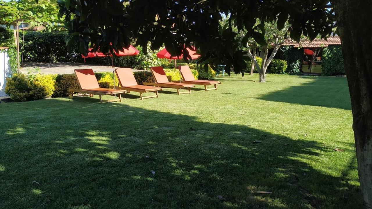 Vila Casa De Marlaes Lousada Exteriér fotografie