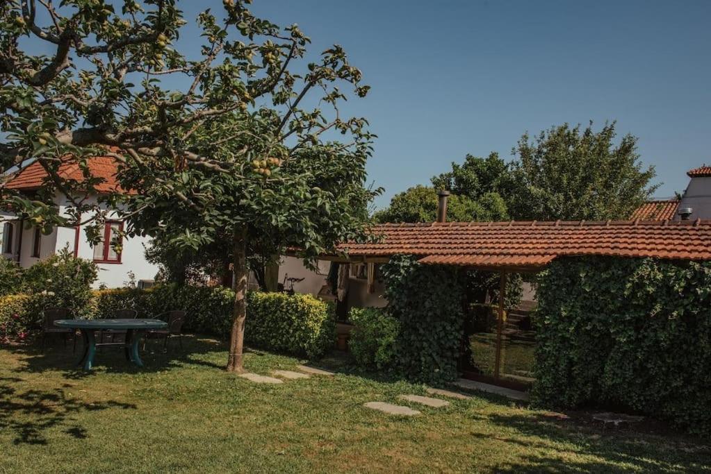 Vila Casa De Marlaes Lousada Exteriér fotografie