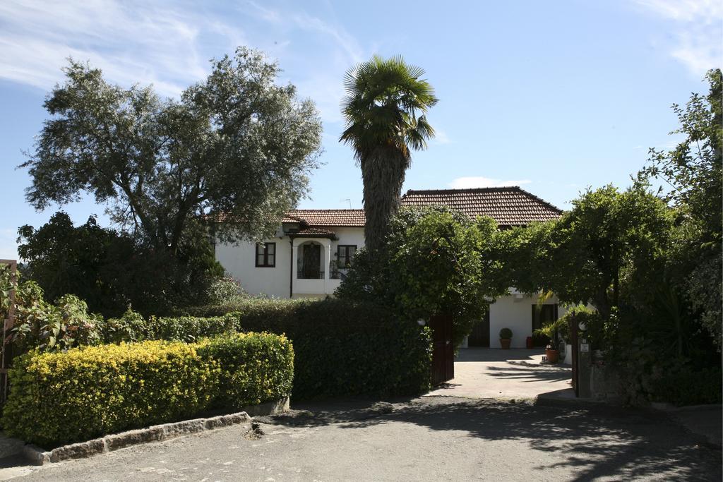 Vila Casa De Marlaes Lousada Exteriér fotografie